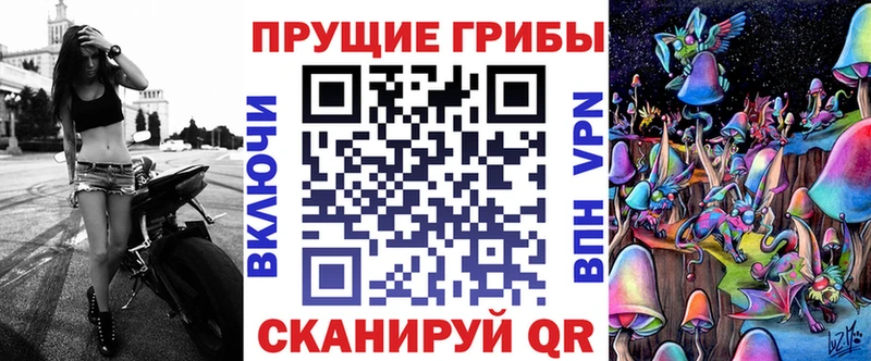 kraken ONION  что такое   Ессентукская  Галлюциногенные грибы Cubensis 